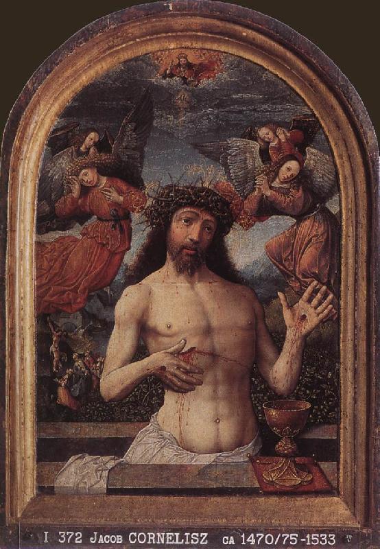 CORNELISZ VAN OOSTSANEN, Jacob Man of Sorrows dfg oil painting picture